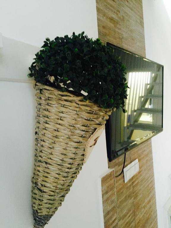 Malaga Centro Apartamentos Dış mekan fotoğraf