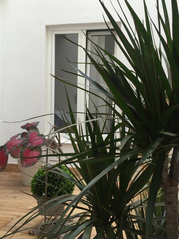 Malaga Centro Apartamentos Dış mekan fotoğraf